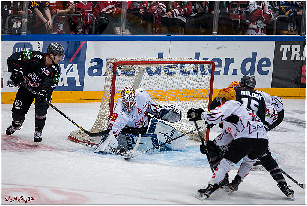 Koelner Haie - Pinguins Bremerhaven, 25.10.2016